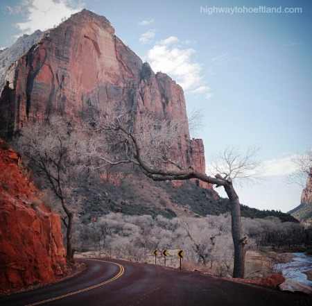 A road in Zion National Park -
