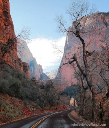 A winding road inside Zion National Park -