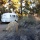 Travel Trailer Camping at Serrano Campground, Big Bear Lake, California